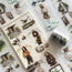 Spring Rain Serenity 3D Special Pet Tape