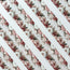 Rose Garden 3D Special Pet Tape