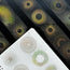Golden Eclipse Holo Gold Foil PET Tape