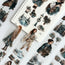 Winter Meadow 3D Special Pet Tape
