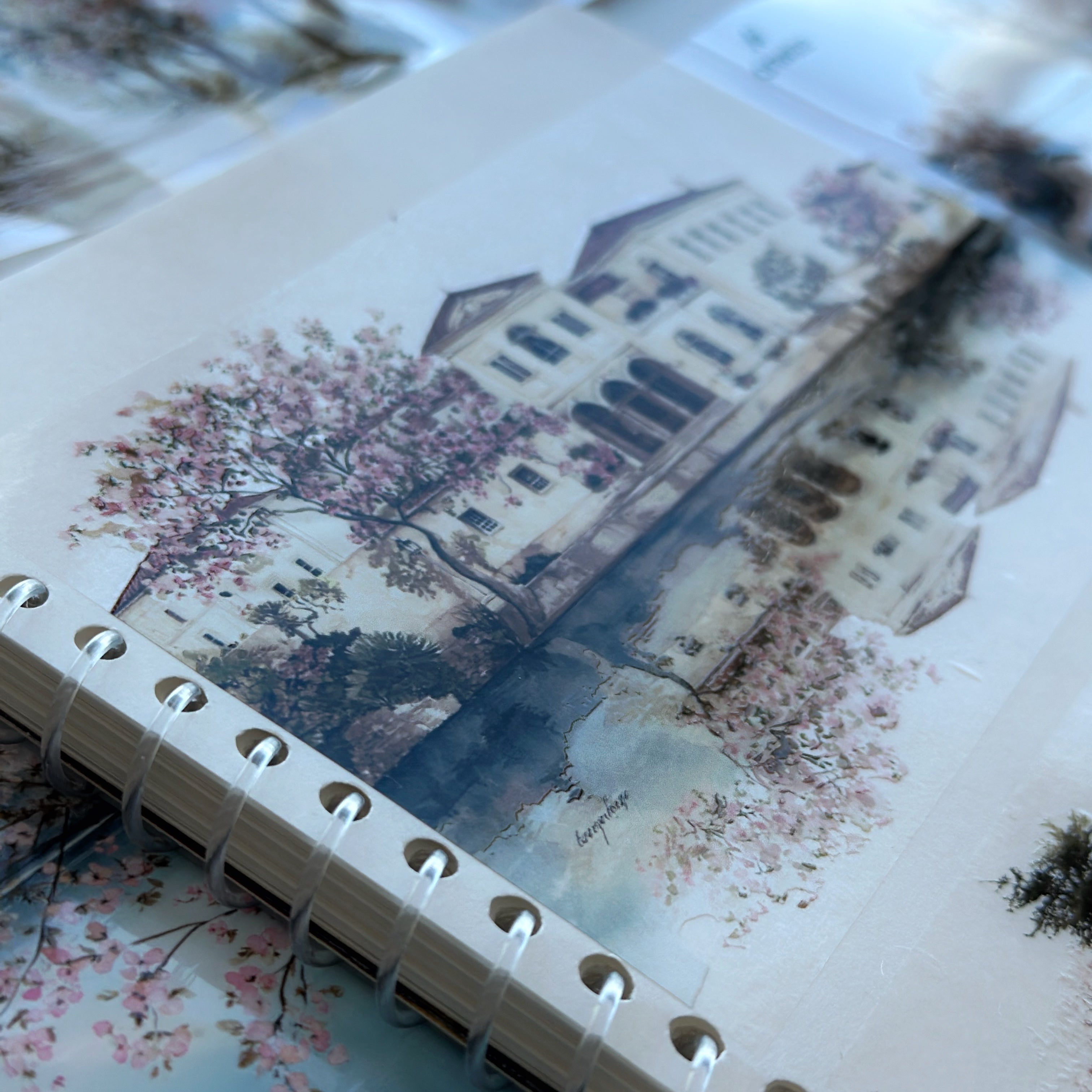 Blush Lake Villa Pet Tape