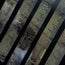 Golden Manuscript | Holo Gold Foil Typography PET Tape | 6cm x 5m