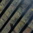 Golden Manuscript | Holo Gold Foil Typography PET Tape | 6cm x 5m
