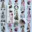 Blossom Sonata 3D Special Pet Tape