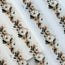 Ivory Garden PET Tape | Neutral Botanical Scrapbook Tape | 5cm x 5m