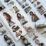 Hope Remains 3D Special Pet Tape