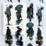 Midnight Passage 3D Special Pet Tape