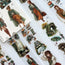Autumn Stroll – Autumn Fashion 3D Special Pet Tape