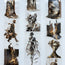 Paper Souls | Literary Fantasy & Surreal PET Tape | 7cm x 5m