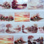 Blush Autumn XL 3D Special Pet Tape
