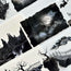 Witching Hour XL 3D Special Pet Tape