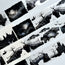 Witching Hour XL 3D Special Pet Tape