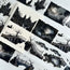 Witching Hour XL 3D Special Pet Tape