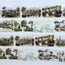 Golden Cityscape XL 3D Special Pet Tape