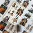 Happy Halloween 3D Special Pet Tape
