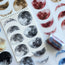 Memories in the Moonlight 3D Special Pet Tape