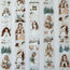 Winter Serenity 3D Special Pet Tape