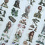 The Story of the Fairy 3D Special Pet Tape